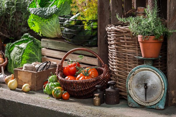 Quels sont les secrets pour organiser un festival de courts métrages en plein air centré sur des histoires locales ?